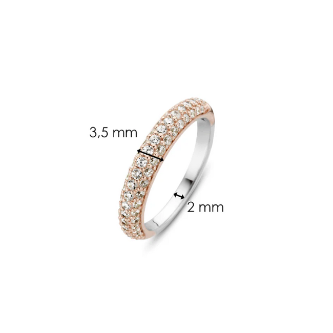 Ti Sento Milano Ti Sento Ring 12105ZR/54 Zilver 925 met Roségouden Plating met Zirkonia Maat 54  3,5 mm x 2 mm 2