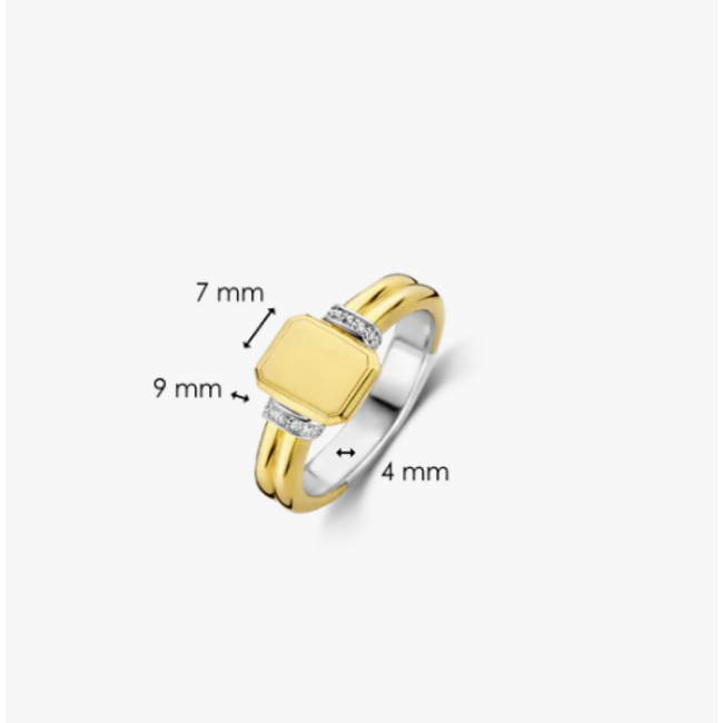 Ti Sento Milano Ti Sento Ring 12240ZY/54 Zilver met Geelgouden Plating Zegel Maat 54