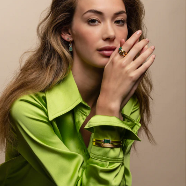 Ti Sento Milano Ti Sento Ring 12240ZY/54 Zilver met Geelgouden Plating Zegel Maat 54