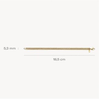 Blush Blush Armband 2262YGO 14k Geelgoud Gourmette Schakel 5.3mm x 18.5cm
