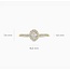 Blush Blush Ring LG1045Y/54 14k GeelGoud met Ovale Lab Grown Diamant met Kleinere Lab Grown Diamanten Maat 54
