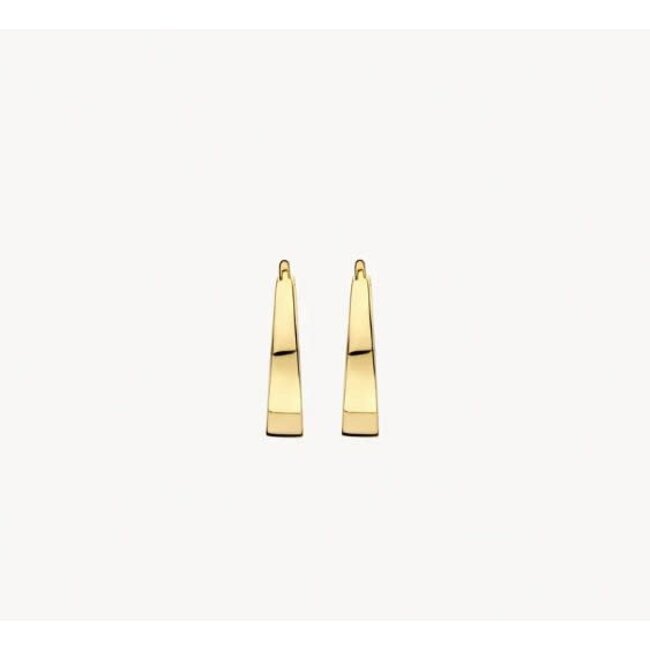 Blush Blush Oorbellen 7379YGO 14k Geelgoud Ovalen Oorringen 2.6x12mm