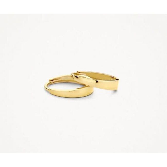 Blush Blush Oorbellen 7379YGO 14k Geelgoud Ovalen Oorringen 2.6x12mm