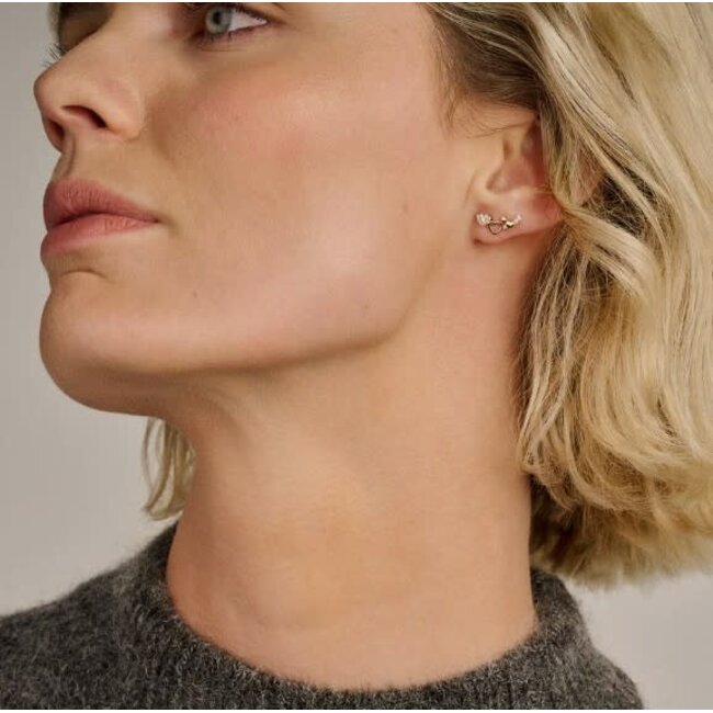 Blush Blush Oorbellen 7376YZI 14k Geelgoud  Hartjes en Zirkonia