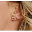 Blush Blush Oorbellen 7376YZI 14k Geelgoud  Hartjes en Zirkonia