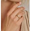 Blush Blush Ring 1277YZI/54 14k Geelgoud met Meerdere Zirkonia's Maat 54