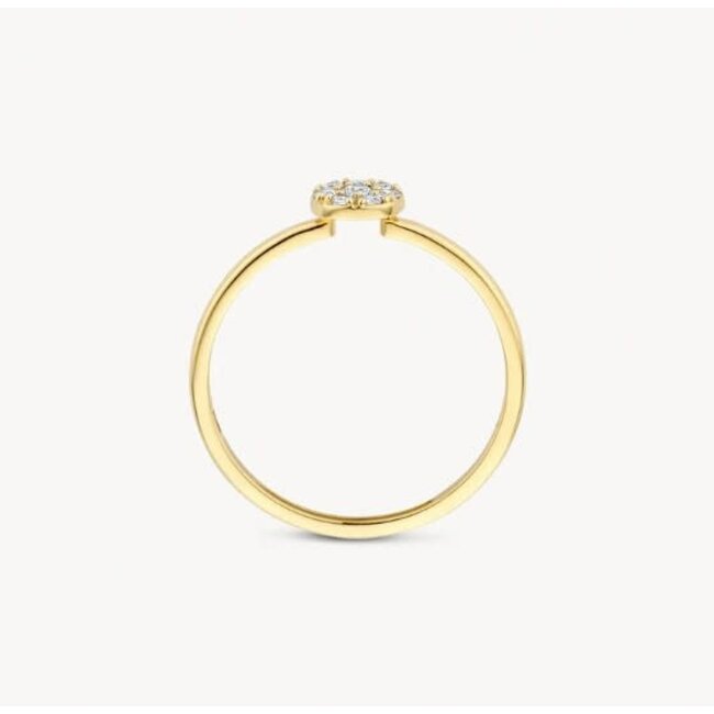 Blush Blush Ring 1277YZI/54 14k Geelgoud met Meerdere Zirkonia's Maat 54