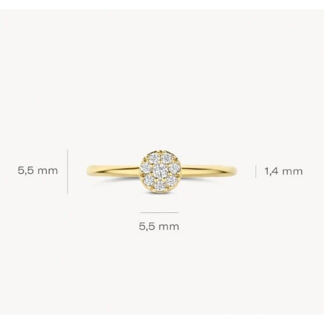 Blush Blush Ring 1277YZI/54 14k Geelgoud met Meerdere Zirkonia's Maat 54