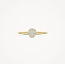 Blush Blush Ring 1277YZI/54 14k Geelgoud met Meerdere Zirkonia's Maat 54