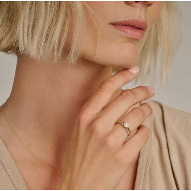 Blush Blush Ring 1277YZI/54 14k Geelgoud met Meerdere Zirkonia's Maat 54