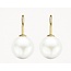 Blush Blush Oorbellen 7049YPW 14k Geelgoud met Parel Hollandse Haak