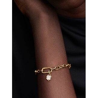 Pandora Pandora Bedel 764564C01 Zilver met 14k Geelgouden Plating Klaver