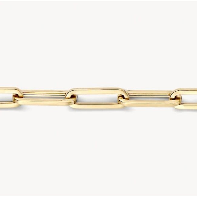 Blush 2172YGO Armband 14 krt geelgoud