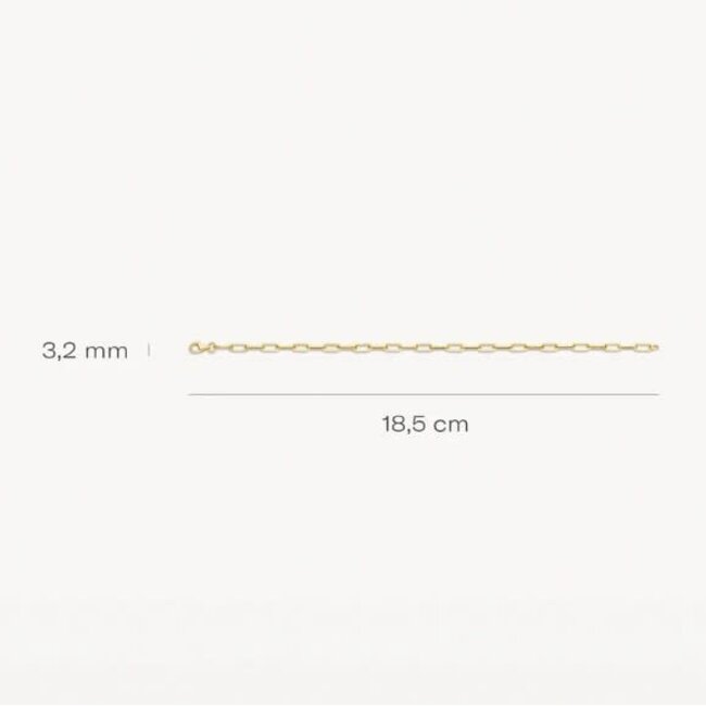 Blush Blush Armband 2191YGO 14k Geelgoud Closed Forever Schakel 18.5cm