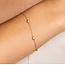 Blush Blush Armband 2237YZI/18.5cm 14k Geelgoud Met Zirkonia 18.5cm