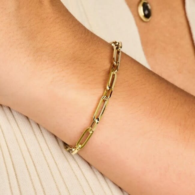 Blush Blush Armband 2251YGO 14k Geelgoud Closed Forever Armband