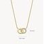 Blush Blush 3126YZI collier14k  goud dames met twee rondjes waarvvan 1 bezet met zirkonia