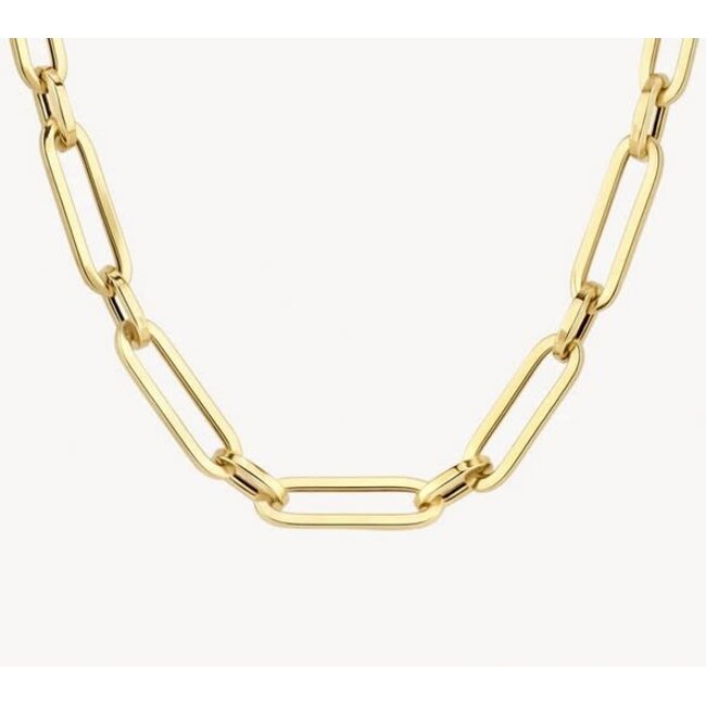 Blush Blush Collier 3129YGO 14k Geelgoud Closed Forever 45cm
