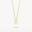 Blush Blush Collier 3151YGO 14k Geelgoud met Ster Hanger 42cm