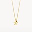Blush Blush Collier 3151YGO 14k Geelgoud met Ster Hanger 42cm