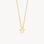 Blush Blush Collier 3151YGO 14k Geelgoud met Ster Hanger 42cm