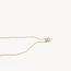 Blush Blush Collier 3163YPW 14k Geelgoud met Parel en Zirkonia Hanger 42cm
