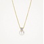 Blush Blush Collier 3163YPW 14k Geelgoud met Parel en Zirkonia Hanger 42cm
