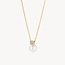 Blush Blush Collier 3163YPW 14k Geelgoud met Parel en Zirkonia Hanger 42cm