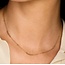 Blush Blush Collier 3182YGO 14k Geelgoud met Bolletjes 42cm