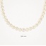Blush Blush Collier 3184YPW 14k Geelgoud Parel 42cm