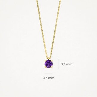 Blush Blush Collier 3200YAM Februari 14k Geelgoud met Amethyst 42cm