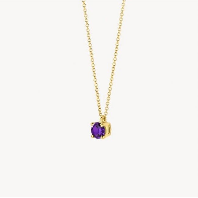 Blush Blush Collier 3200YAM Februari 14k Geelgoud met Amethyst 42cm