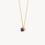 Blush Blush Collier 3200YAM Februari 14k Geelgoud met Amethyst 42cm