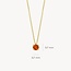 Blush Blush Collier 3200YCI November 14k Geelgoud met Madeira Citrien 42cm