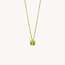 Blush Blush Collier 3200YGP Augustus 14k Geelgoud met Peridot 42cm