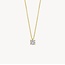 Blush Blush Collier 3200YLG April 14k Geelgoud met 0.25crt Labgrown Diamant 42cm