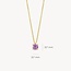 Blush Blush Collier 3200YPA Juni 14k Geelgoud Roze Amatist 42cm
