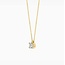 Blush Blush Collier LG3001Y 14k Geelgoud 0.20crt G SI Briljant Lab Grown Diamant 42cm