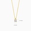 Blush Blush Collier LG3001Y 14k Geelgoud 0.20crt G SI Briljant Lab Grown Diamant 42cm