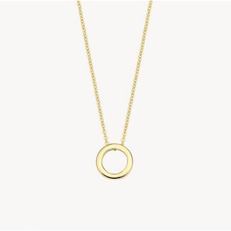 Blush Blush Collier met Hanger 3083YGO 14k Geelgoud met Rondje Glad 42cm
