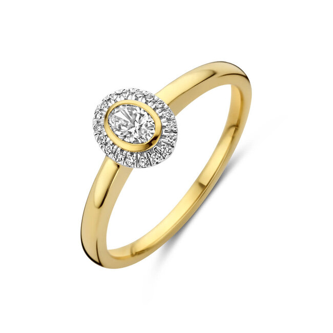 The House Of Blinckers THOB Ring 40.31857 14k Geelgoud met 0.25ct GH SI Diamant Maat 17.75