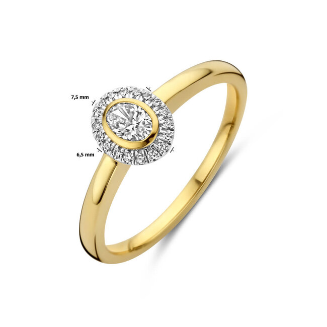 The House Of Blinckers THOB Ring 40.31857 14k Geelgoud met 0.25ct GH SI Diamant Maat 17.75