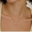 Blush Blush Collier met Hanger 3149YGO 14k Geelgoud met Hart 42cm