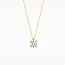 Blush Blush Collier met Hanger LG3003Y 14k Geelgoud met 0.45crt Briljant geslepen Labgrown Diamant G SI 42cm