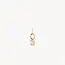 Blush Blush Hanger 6092YZI 14k Geelgoud met Briljant geslepen Zirkonia 3.8mm