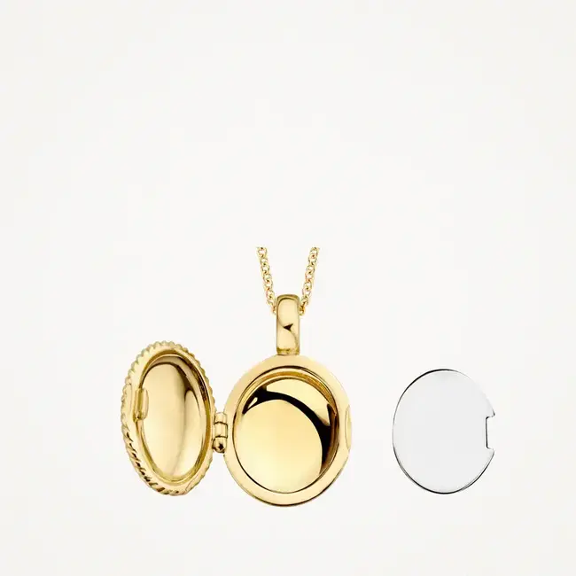 Blush Blush Medailon 6081YGO 14k Geelgoud 11mm x 17mm (excl. Collier)