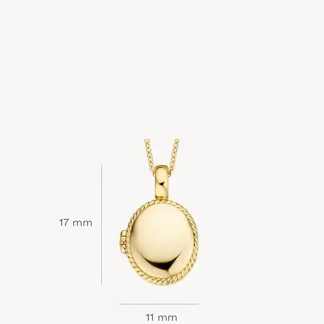 Blush Blush Medailon 6081YGO 14k Geelgoud 11mm x 17mm (excl. Collier)
