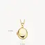Blush Blush Medailon 6081YGO 14k Geelgoud 11mm x 17mm (excl. Collier)