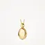 Blush Blush Medailon 6081YGO 14k Geelgoud 11mm x 17mm (excl. Collier)