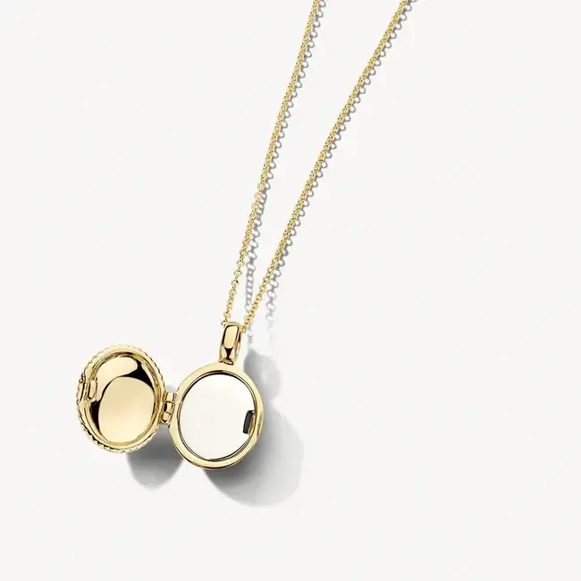 Blush Blush Medailon 6081YGO 14k Geelgoud 11mm x 17mm (excl. Collier)